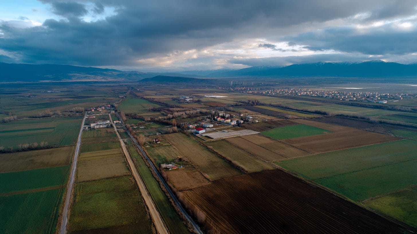 How to Use Investor Forums and Webinars to Gain Insights on Romanian Real Estate